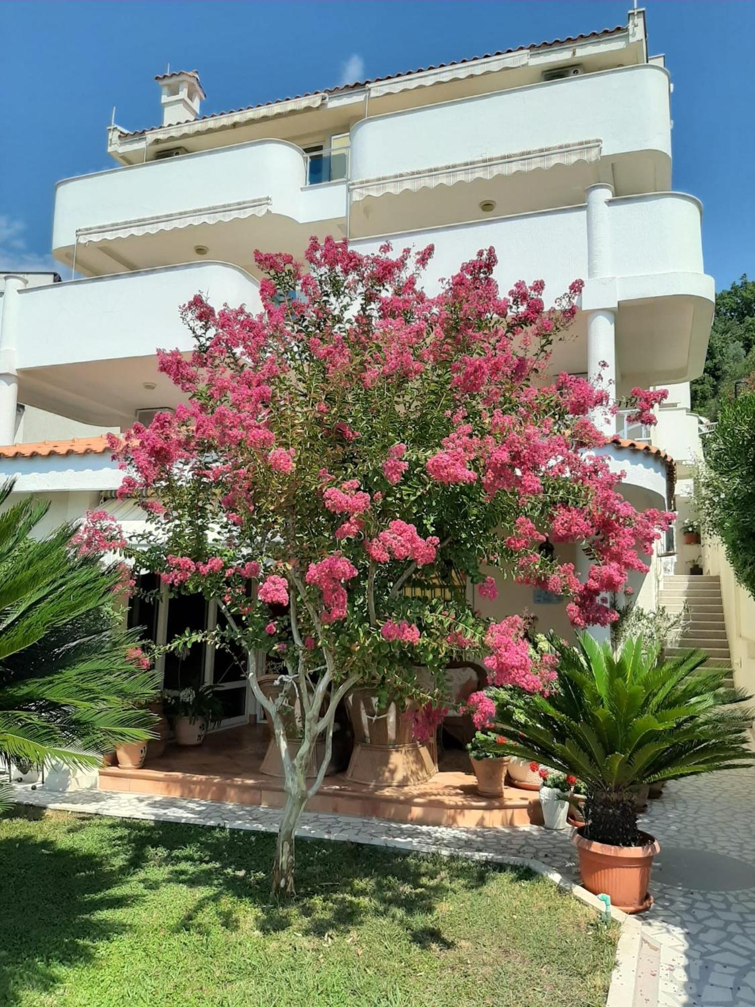 Apartments Villa Mare Mar Sutomore Bagian luar foto